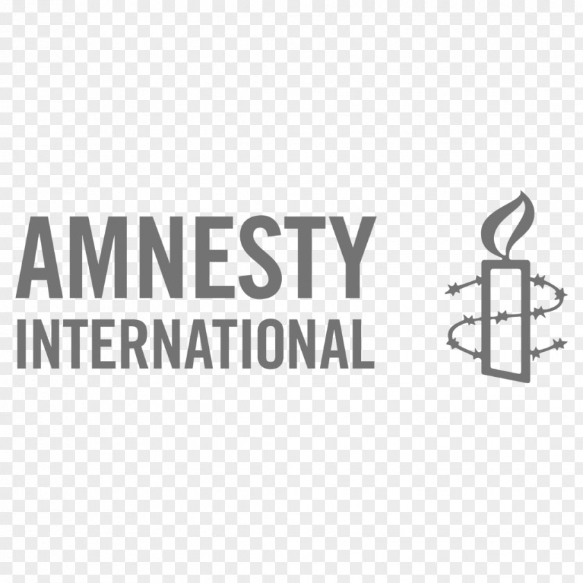 Amnesty International USA Boko Haram Insurgency Human Rights Action Center PNG