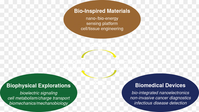 Bacterial Nanowires Biomedical Engineering Organization Medicine Research Logo PNG