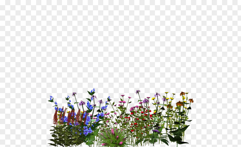Flower Floral Design Flowering Plant Cut Flowers PNG