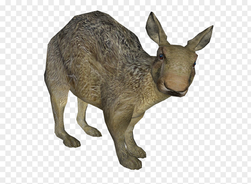 Glyptodont Sculptor Kangaroo Elephantidae Artist Sculpture PNG