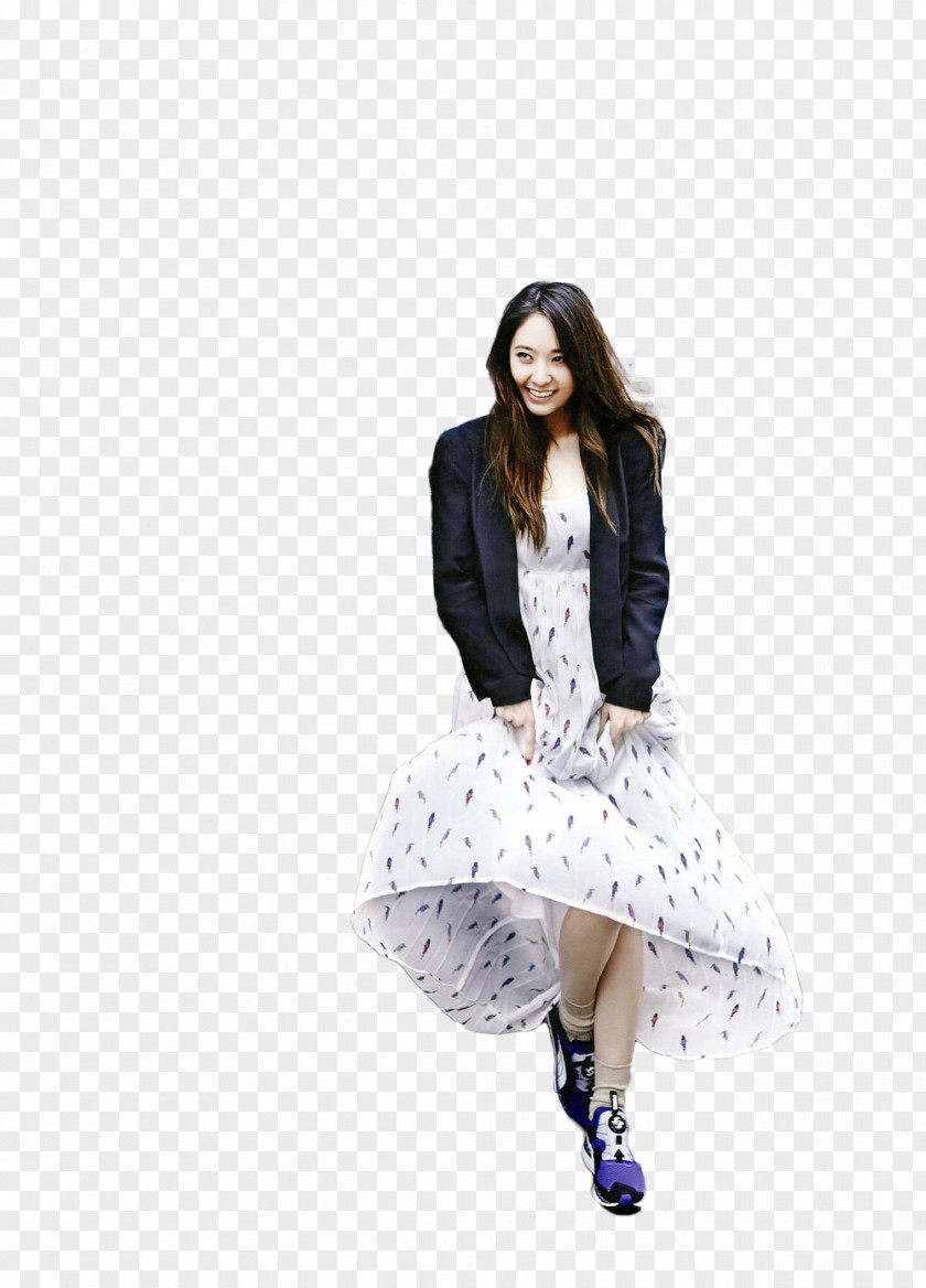 Krystal Fashion Outerwear Skirt Shoe PNG