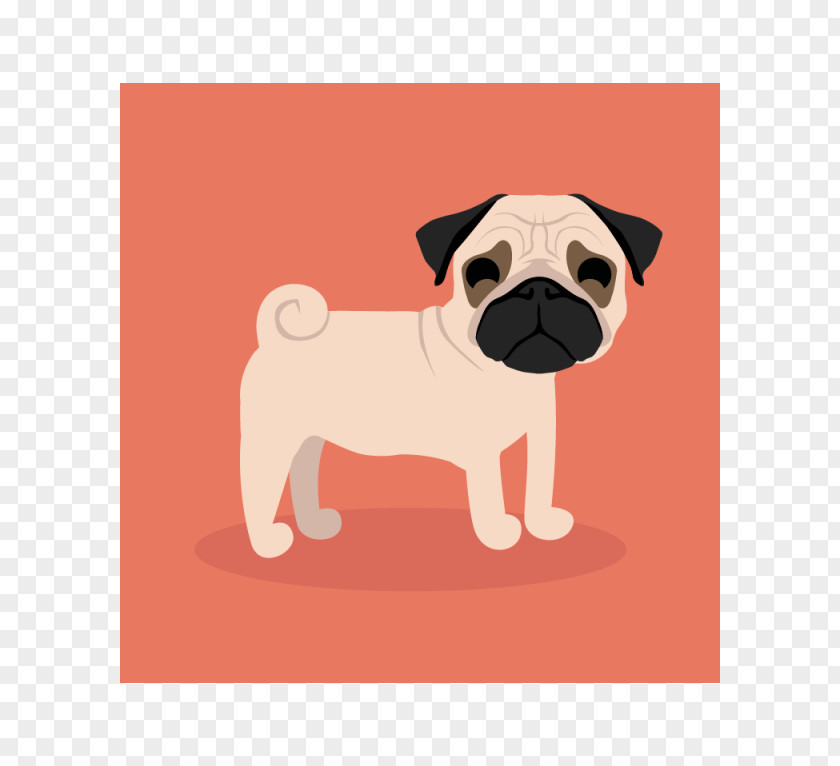 Puppy Pug Dog Breed Companion Shih Tzu PNG