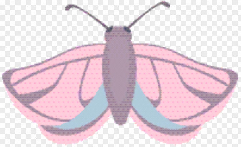 Bombycidae Emperor Moths Butterfly Cartoon PNG