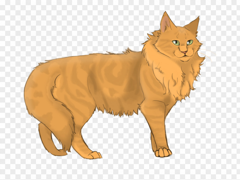 Cat Warriors Into The Wild Forest Of Secrets Firestar PNG