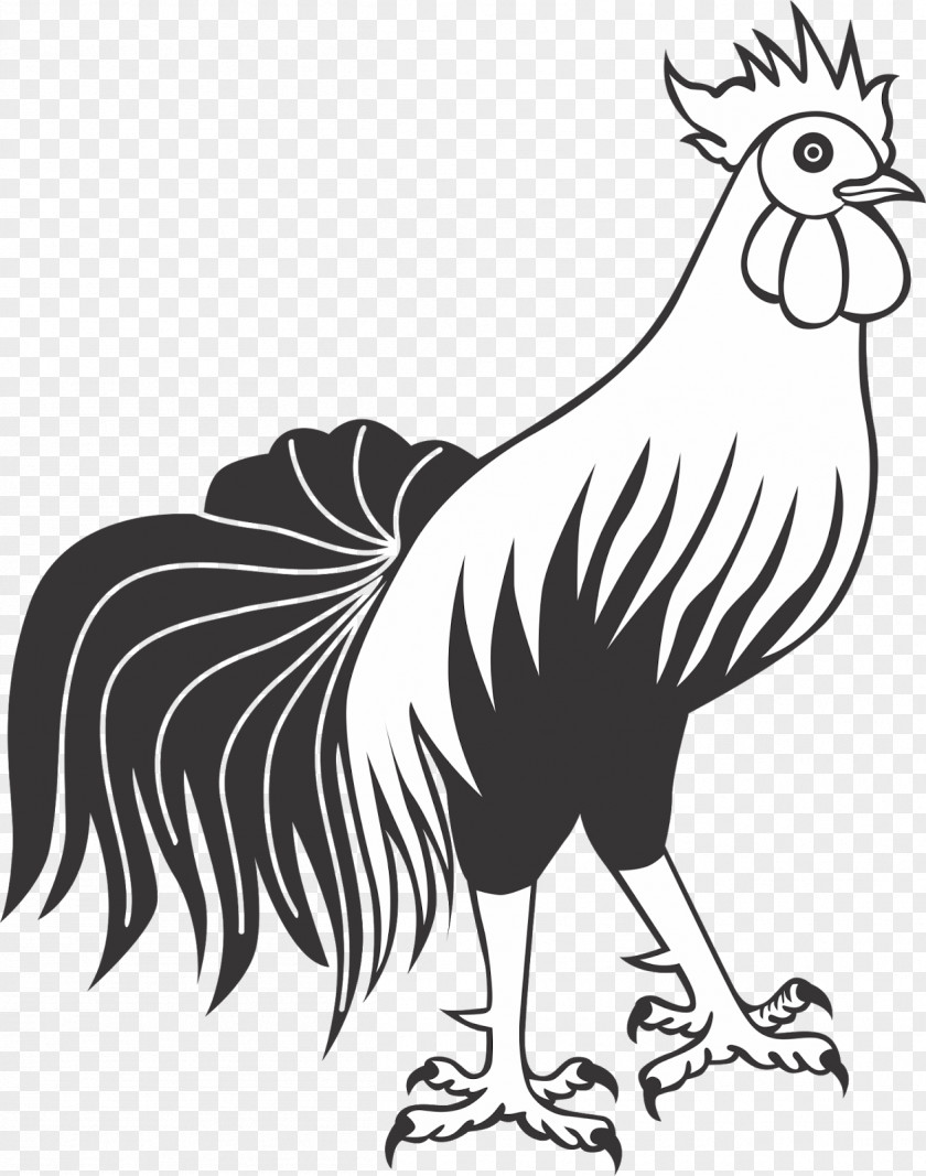Chicken Rooster Black And White Clip Art Image PNG