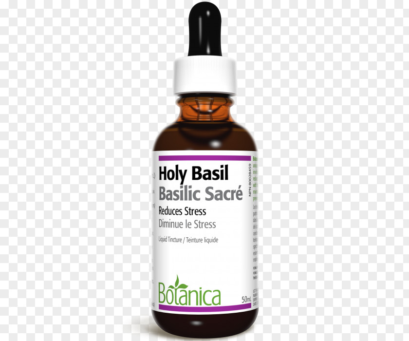 Holy Basil Product Milliliter Ginger PNG