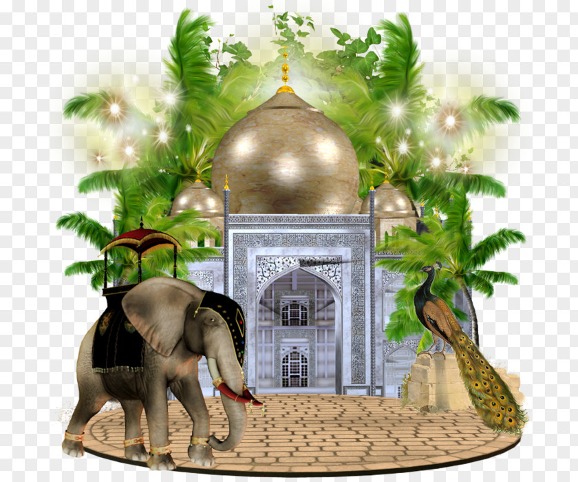 Indian Elephant Flowerpot Elephantidae PNG