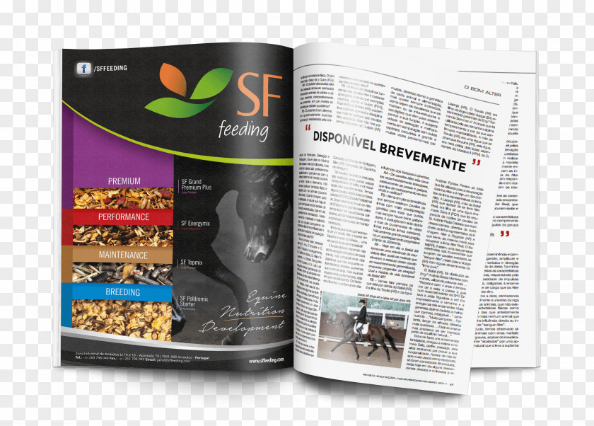 Photorealistic Horse Advertising Quality Nutrition Brochure PNG