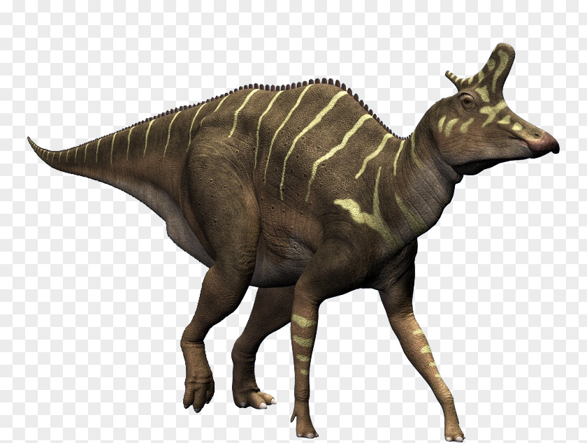 Dinosaurs Lambeosaurus Dicraeosaurus Plateosaurus Corythosaurus Stegosaurus PNG