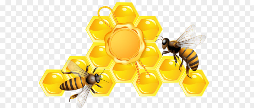 Honey PNG clipart PNG