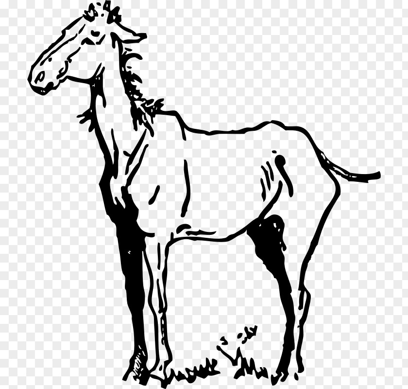 Mustang Clip Art Friesian Horse Openclipart Equestrian PNG