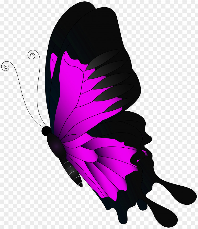 Pink Flying Butterfly Clip Art PNG
