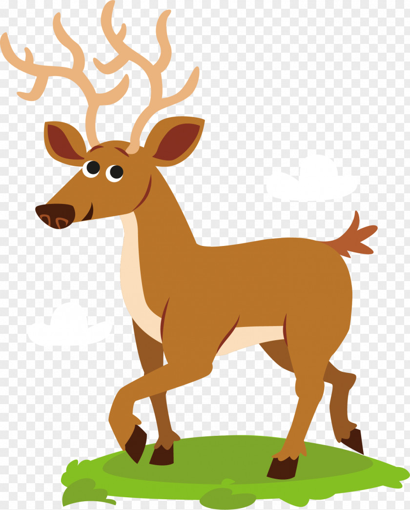 Cartoon Sika Deer Vector Adobe Illustrator PNG