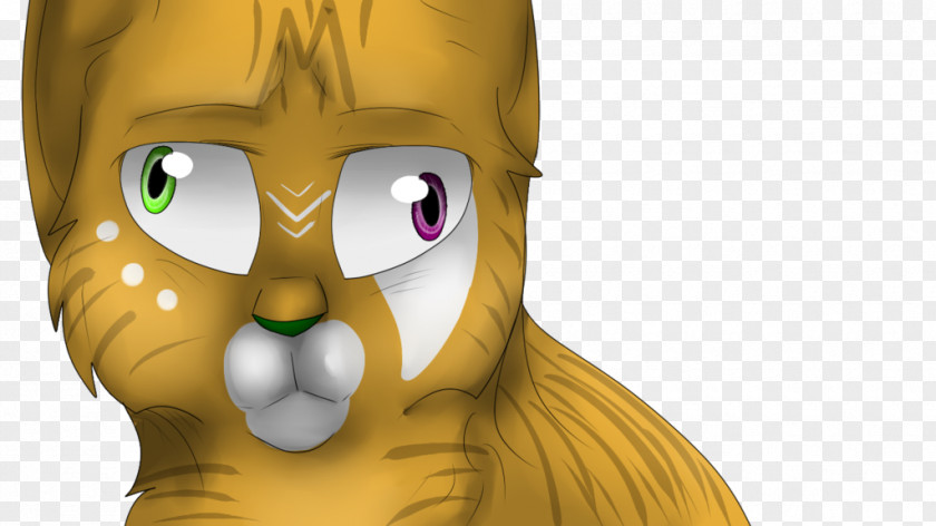 Cat Whiskers Snout Beak PNG