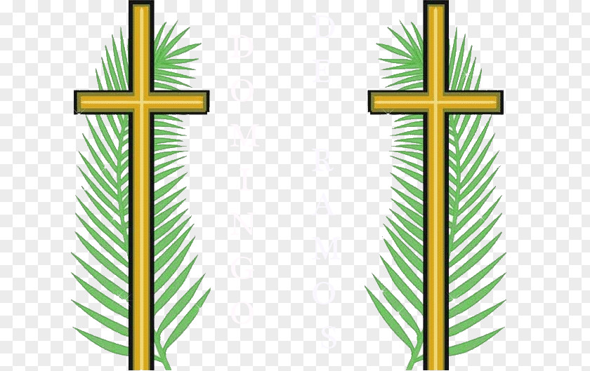 Easter Palm Sunday Holy Week Parish Happiness PNG