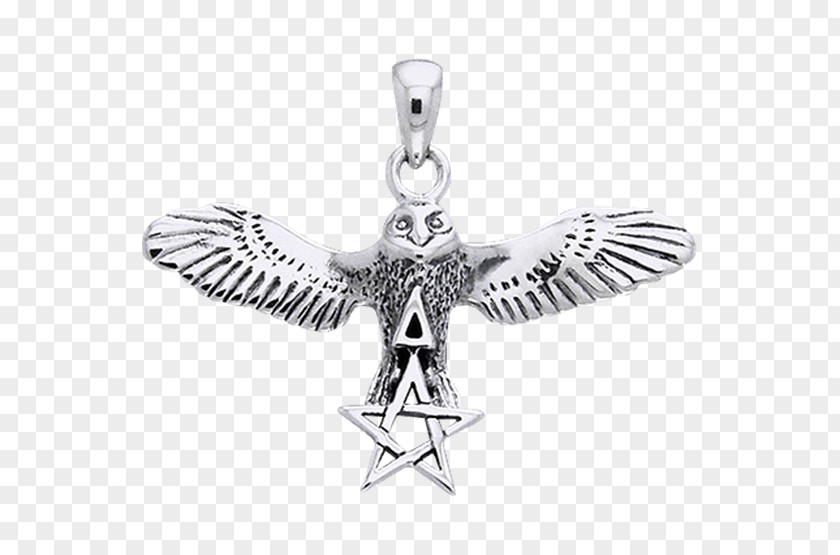 Flying Owl Charms & Pendants Wicca Pentacle Pentagram Altar PNG