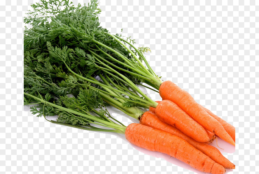 Fresh Carrots Carrot Juice Vegetable Baby PNG