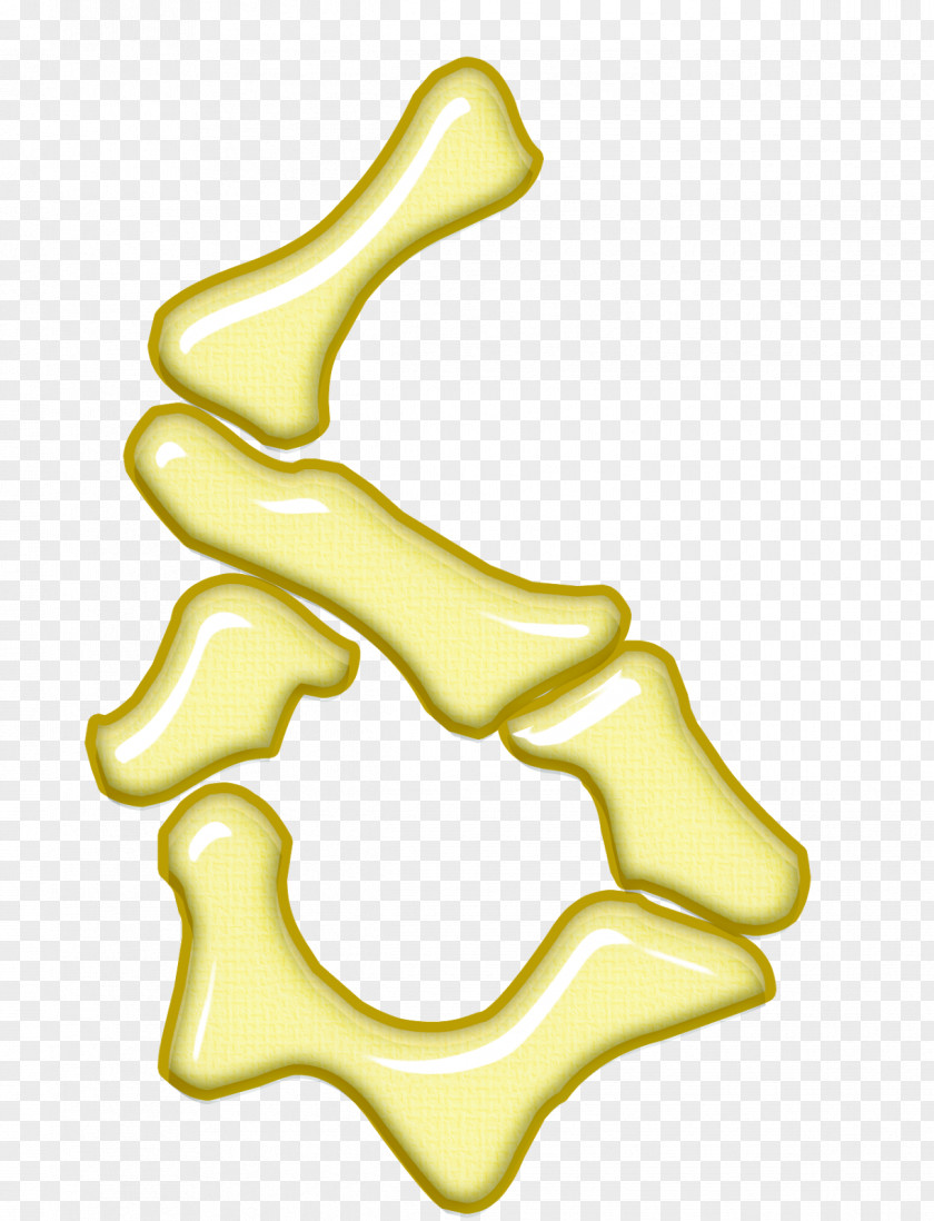 Jewellery Body Font PNG