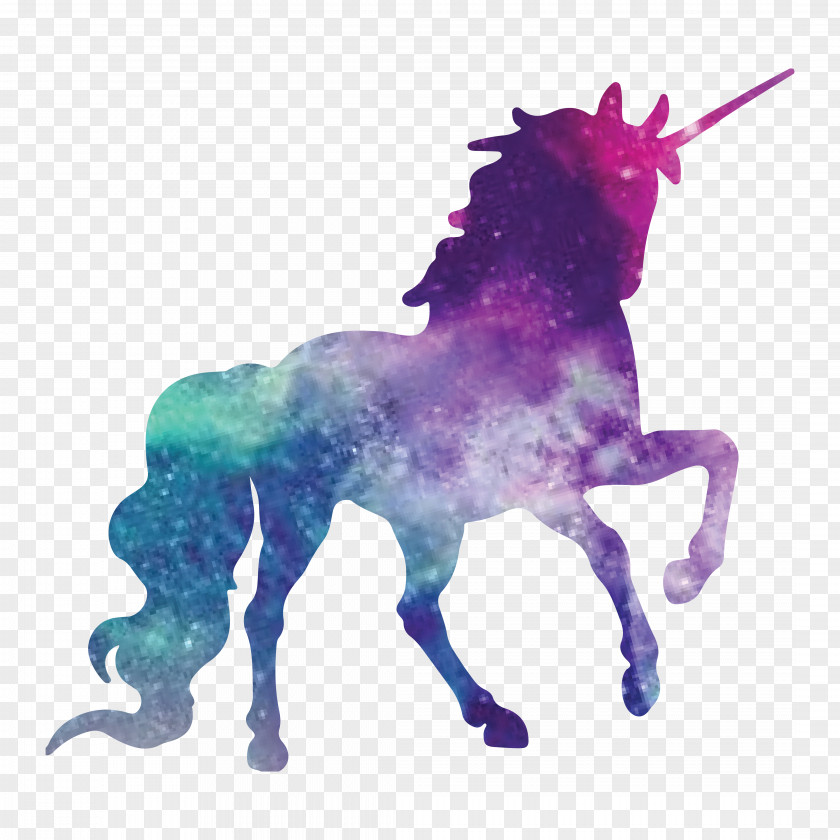 Unicorn Monoceros T-shirt Drawing PNG