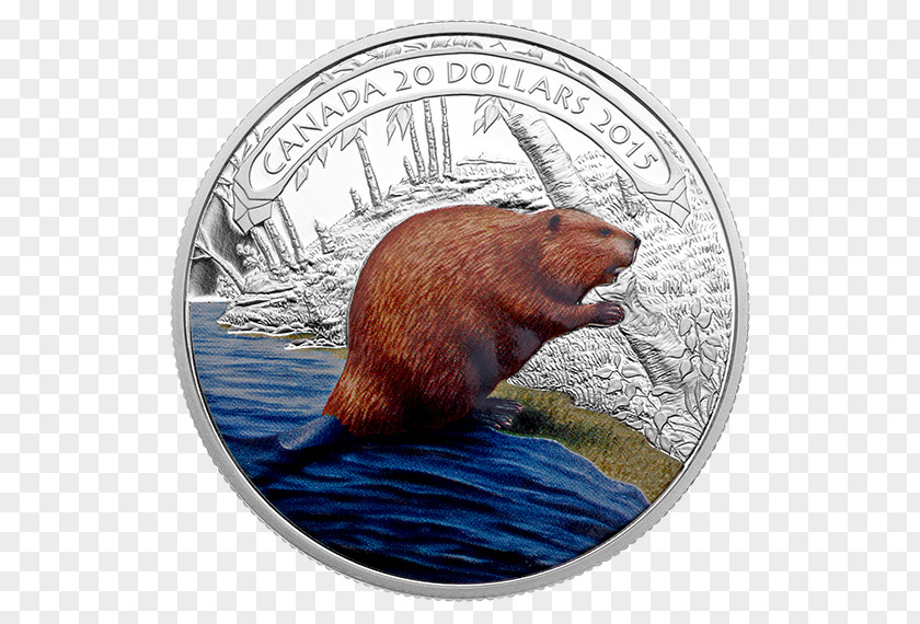 Beaver Silver Coin Bullion PNG