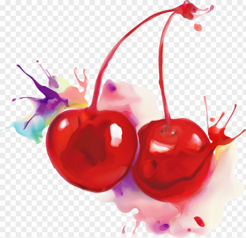 Cherry Watercolor Painting Fruit PNG