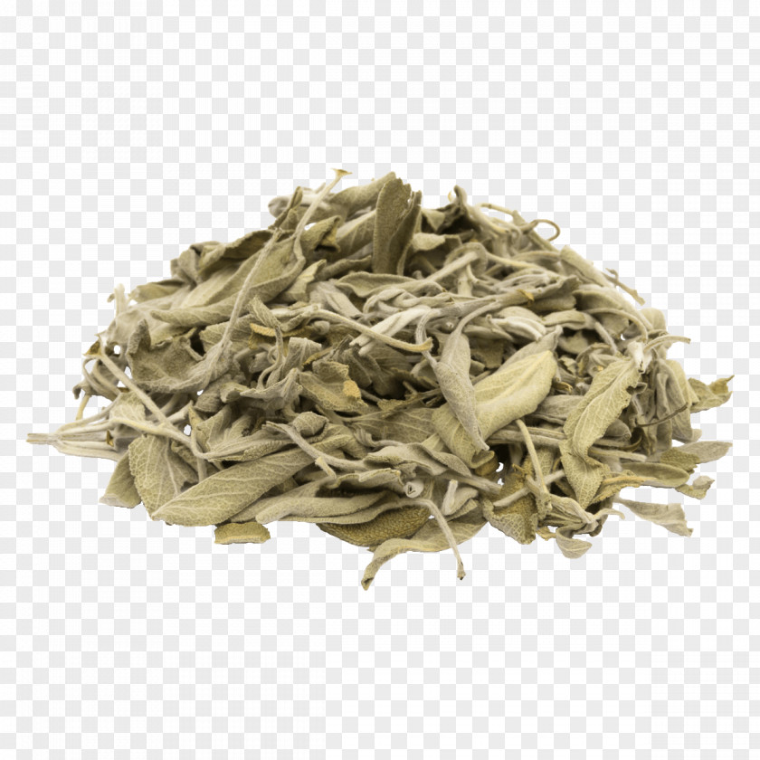 Dry Parsley Herb Common Sage Tea Food Drying PNG