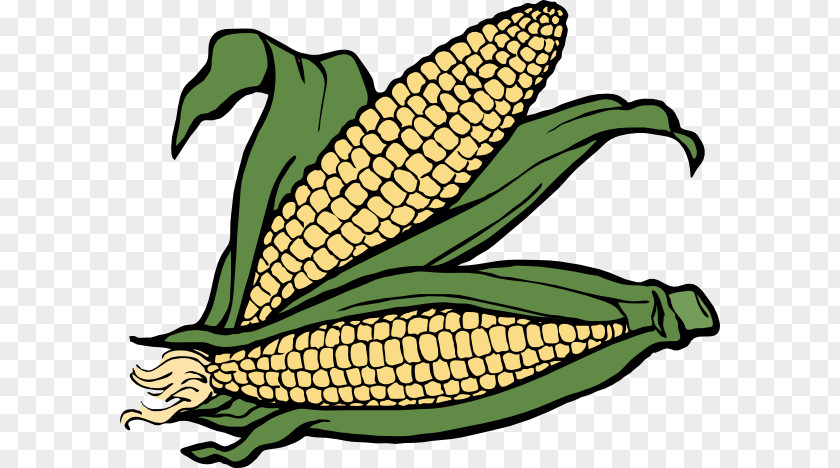Images Cartoon Of Corn Free Content Maize Clip Art PNG