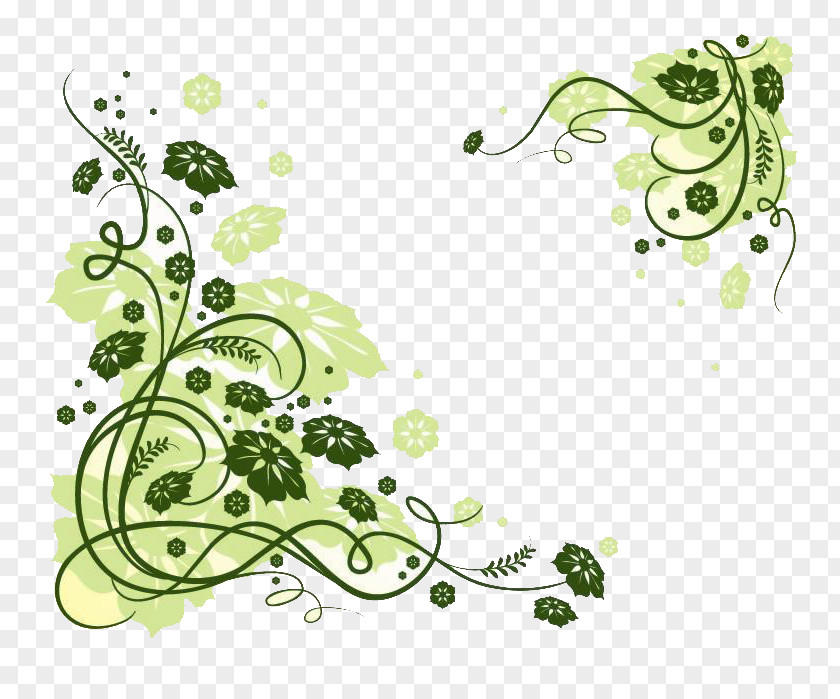 Line Drawing Flower Green Stock Illustration PNG