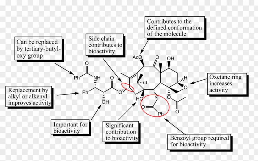 Macau Sar Establishment Day Discovery And Development Of Tubulin Inhibitors Structure–activity Relationship Paclitaxel Docetaxel Anhydrous PNG