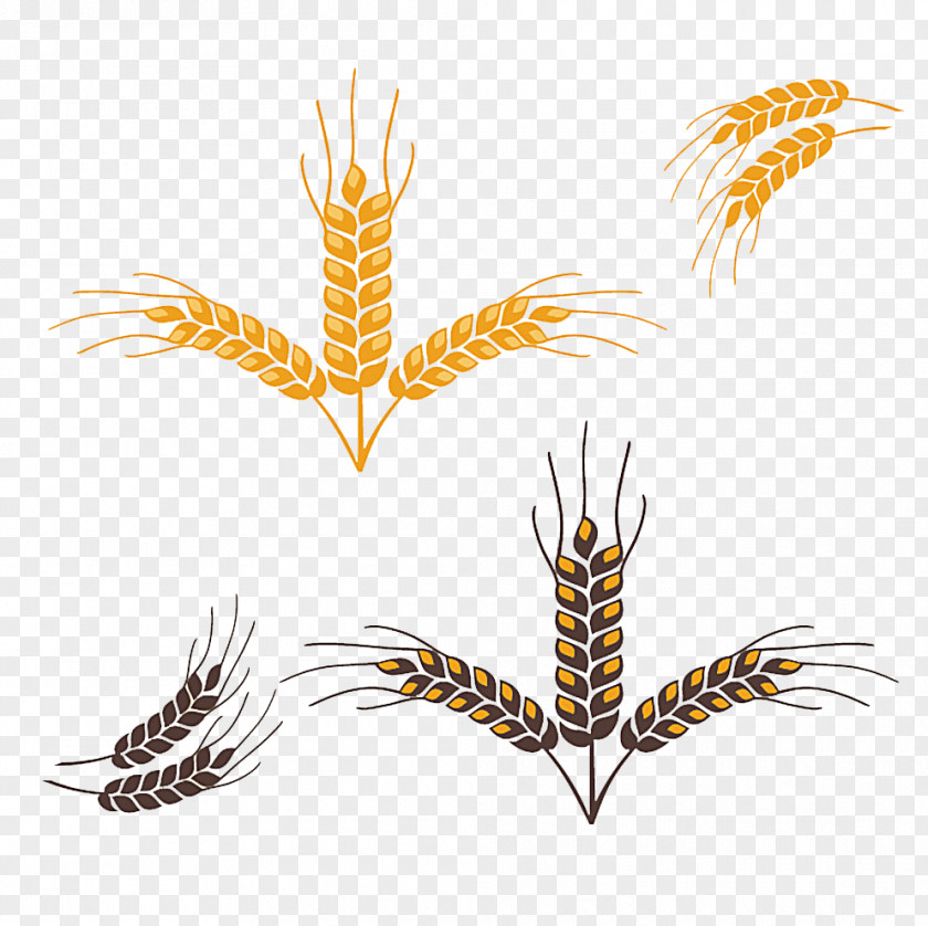 Wheat Euclidean Vector Download PNG