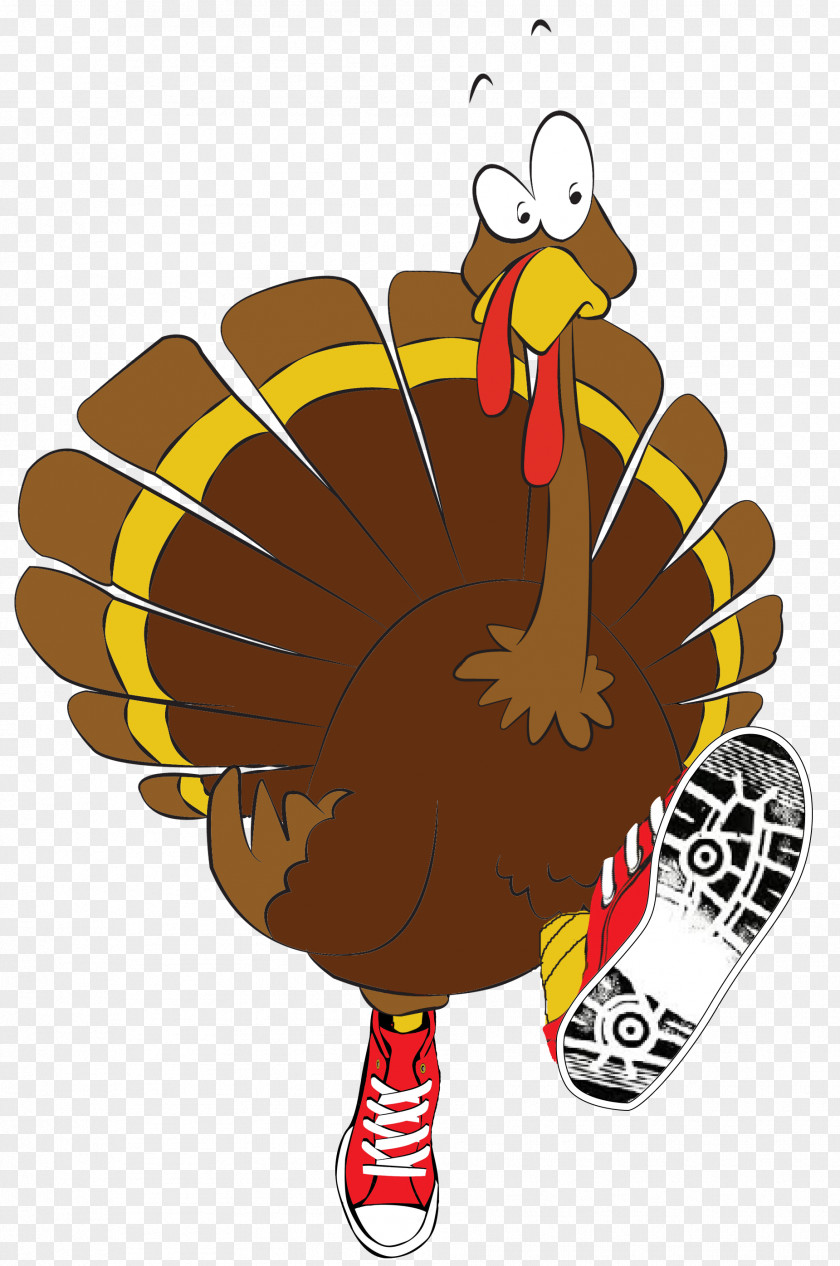 Gobble Graphic Image Illustration Wobble 5K Domestic Turkey Trot PNG