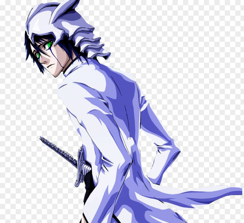 Ichigo Kurosaki Ulquiorra Cifer Sōsuke Aizen Orihime Inoue Shunsui Kyōraku PNG