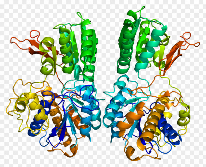 Metabotropic Glutamate Receptor 1 PNG