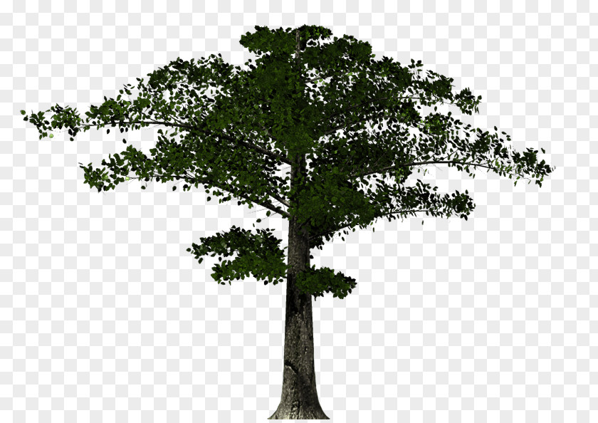 Metalic tree Tree Branch Trunk Pine Twig PNG