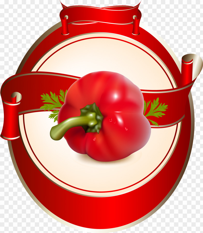 Tomato Vegetable Sauce PNG