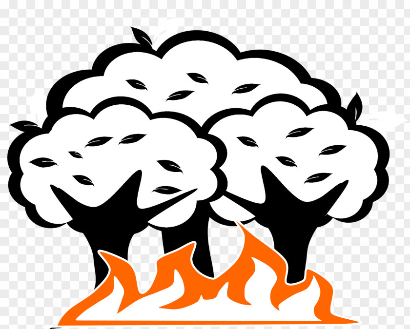 Disaster Drawing Wildfire Natural Clip Art PNG