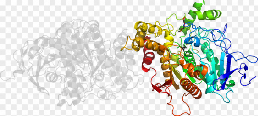 Joint Genome Institute Organism Human Behavior Clip Art PNG