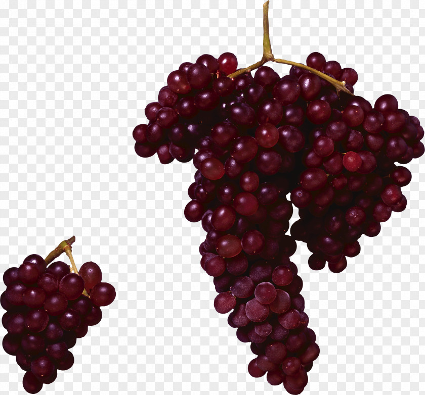 Red Grape Image Wine Concord Common Vine PNG