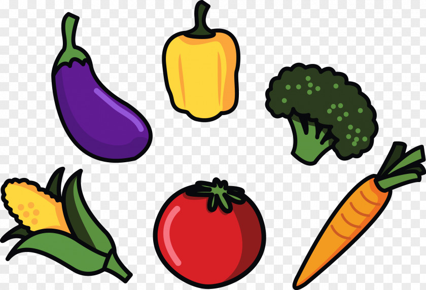 Vector Illustration Vegetables Vegetable Cartoon PNG