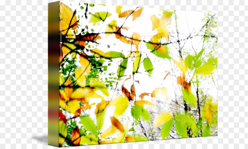 Abstract Splash Modern Art Desktop Wallpaper Computer Font PNG