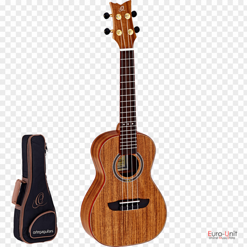 Acoustic Guitar Ukulele For Dummies String Instruments Banjo Concert PNG