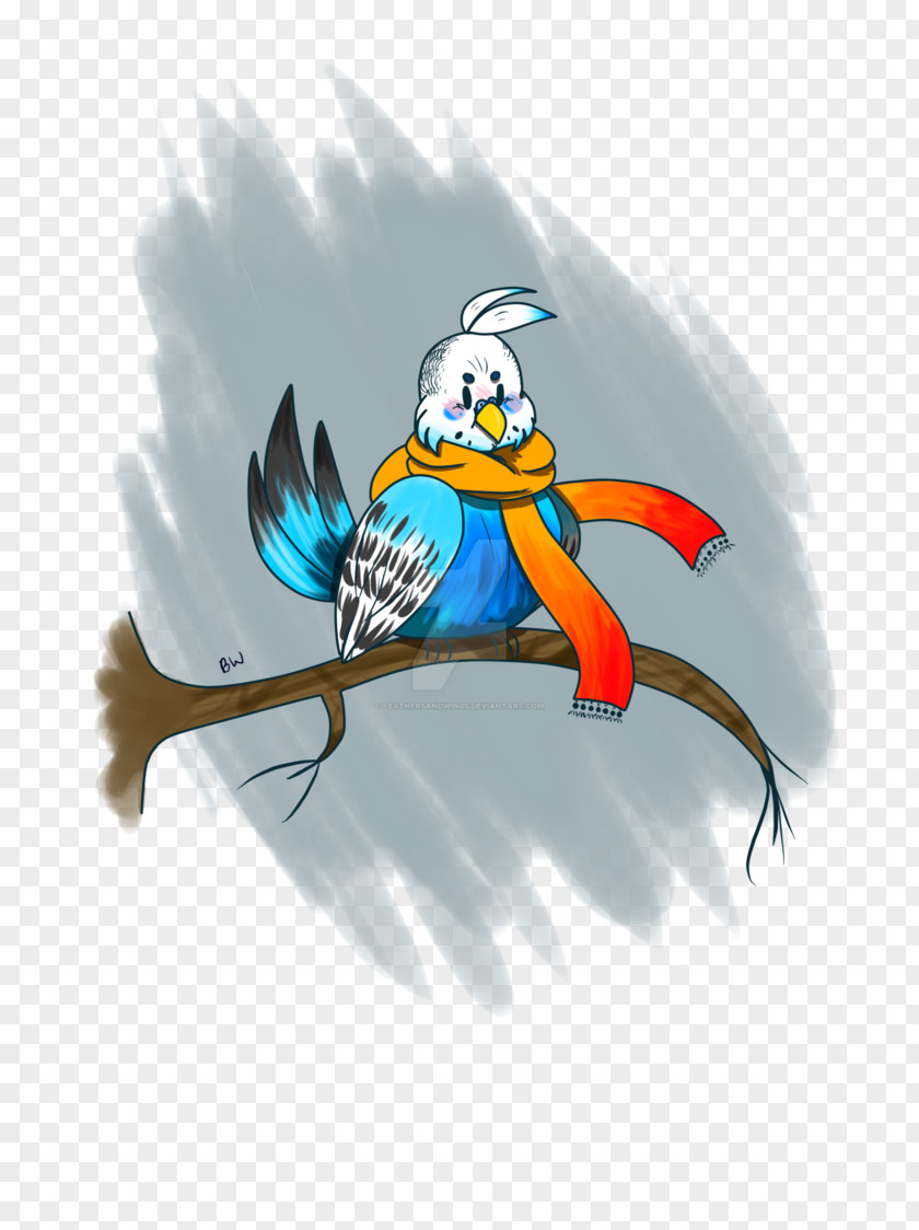 Parrot Macaw Beak Desktop Wallpaper PNG