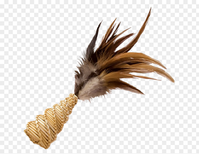 Plumas De Ave Feather PhotoScape YouTube Tail PNG