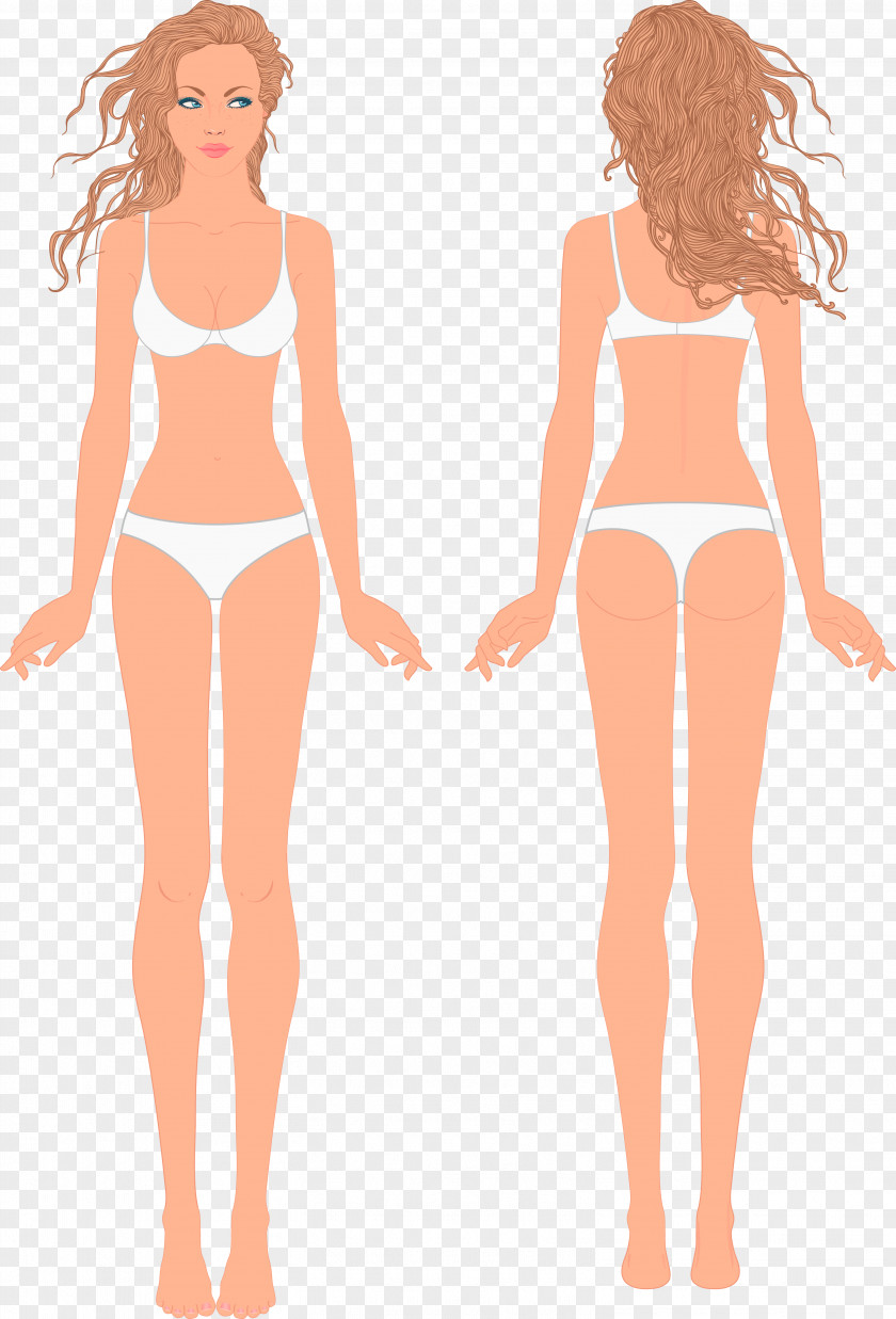 Sequins Human Body Royalty-free Female Shape PNG