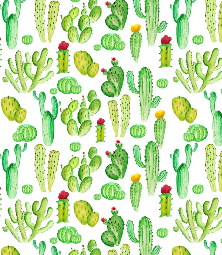 Cactus Cactaceae Succulents And Succulent Plant Desert Drawing PNG