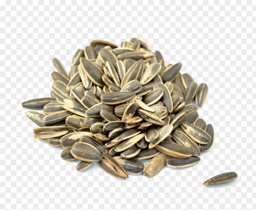 Seeding Common Sunflower Seed Muesli Food PNG