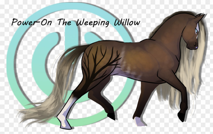 Weeping Willow Foal Stallion Mane Colt Mare PNG