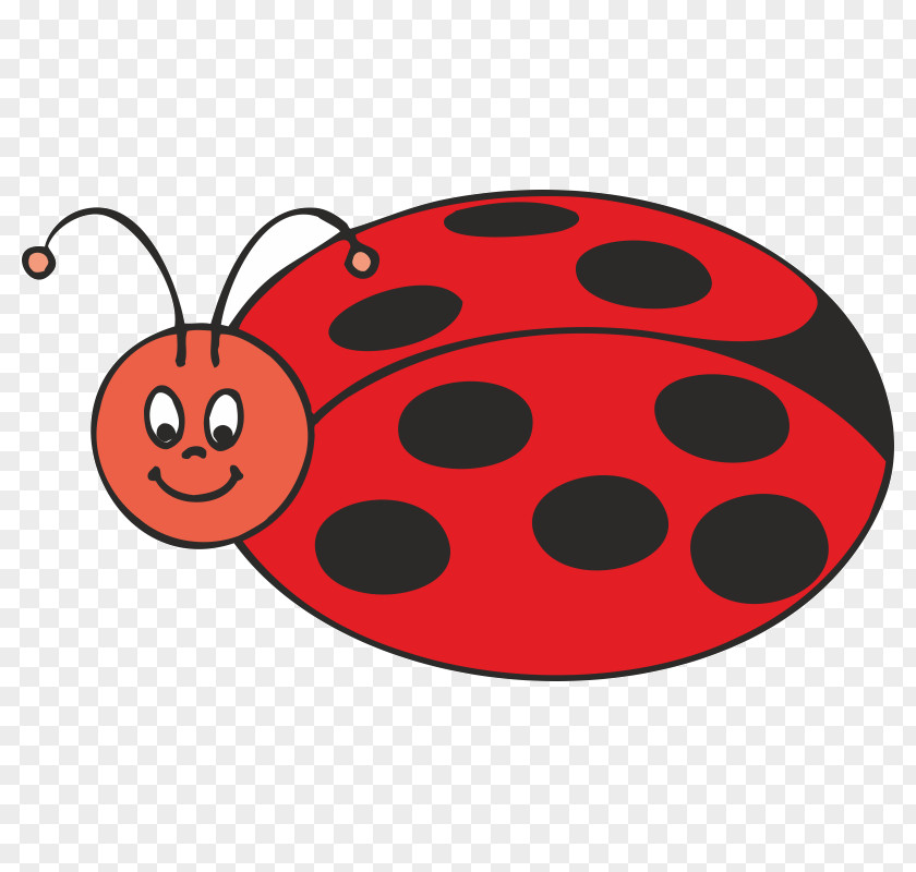 Beetle Coccinella Septempunctata Ladybird Clip Art PNG