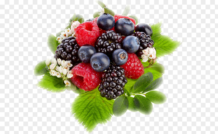 Blackberry Fruit Raspberry PNG