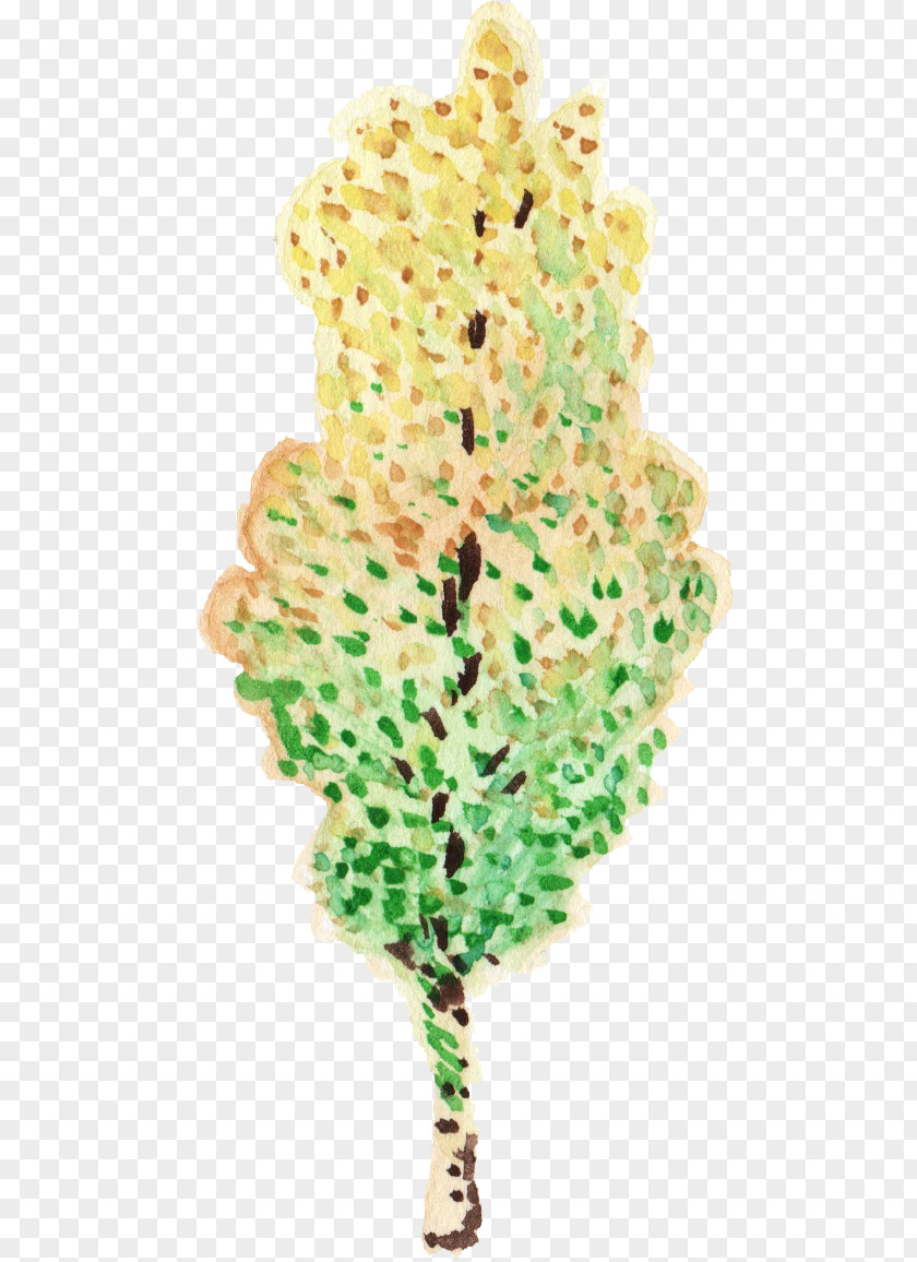 Tree File Format Watercolor Painting Leaf PNG